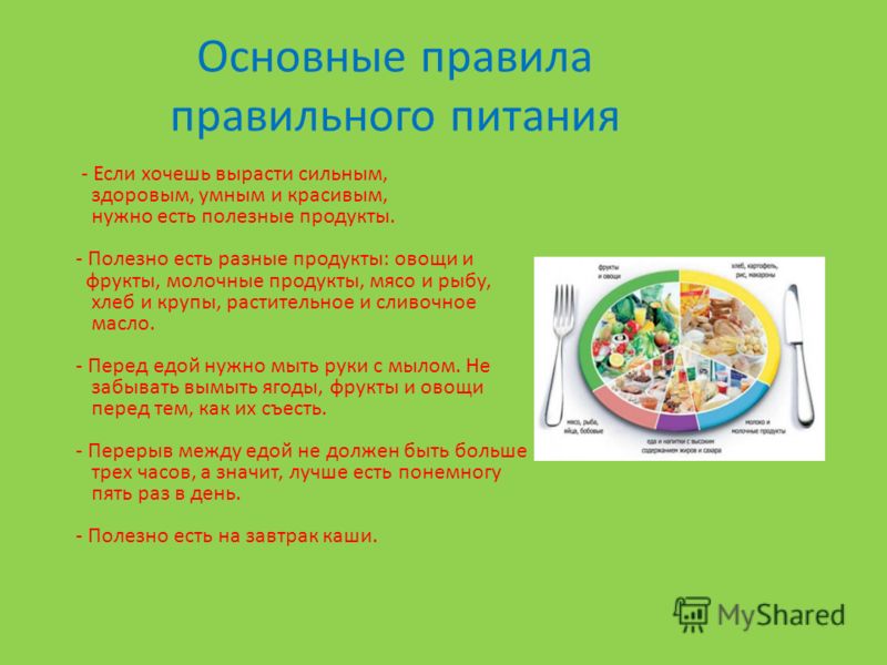 салаты для правильного питания для похудения салаты для правильного питания для похудения