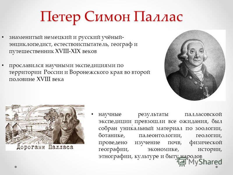 Программа на сентябрь читать