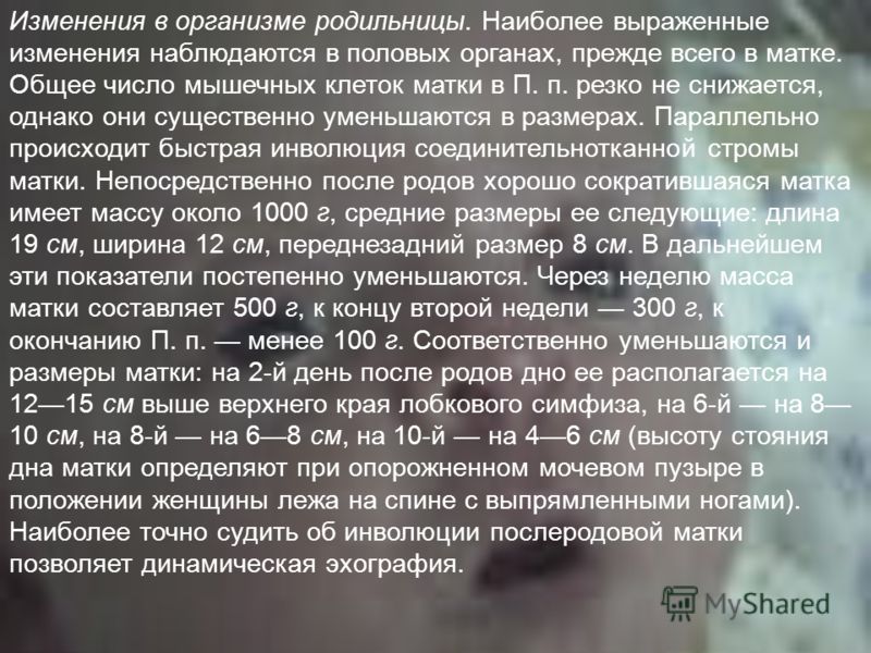 Изменения в организме родильницы. Наиболее выраженные изменения наблюдаются в половых органах, прежде всего в матке. Общее число мышечных клеток матки