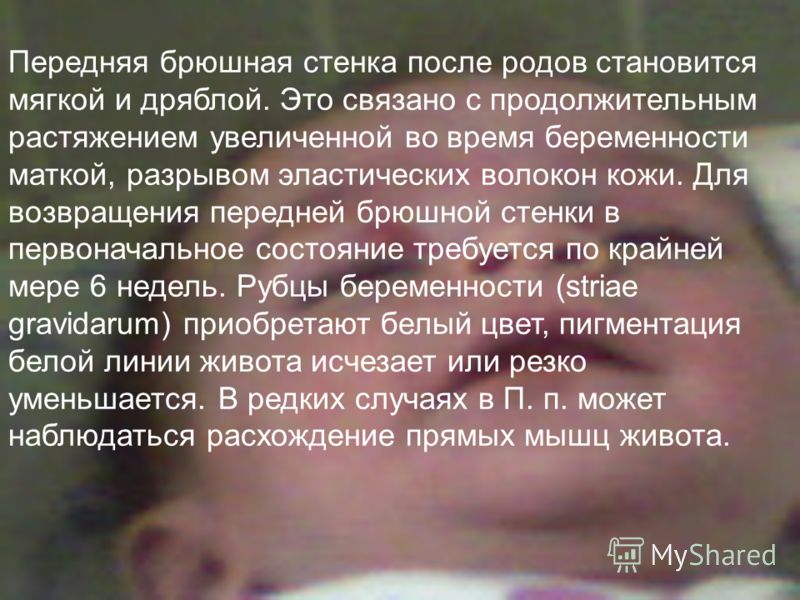 Передняя брюшная стенка после родов становится мягкой и дряблой. Это связано с продолжительным растяжением увеличенной во время беременности маткой, р