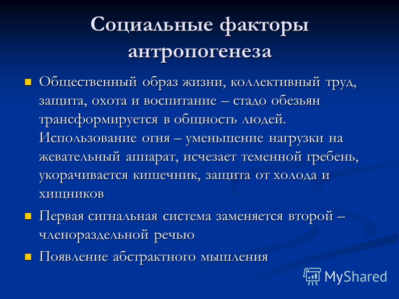 Социальные факторы антропогенеза Общественный образ жизни, коллективный труд, защита, охота и воспитание – стадо обезьян трансформируется в общность л