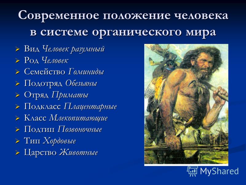 Современное положение человека в системе органического мира Вид Человек разумный Вид Человек разумный Род Человек Род Человек Семейство Гоминиды Семей