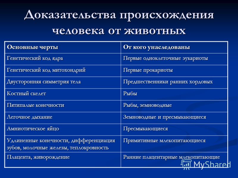 Доказательства происхождения человека от животных Основные черты От кого унаследованы Генетический код ядра Первые одноклеточные эукариоты Генетически