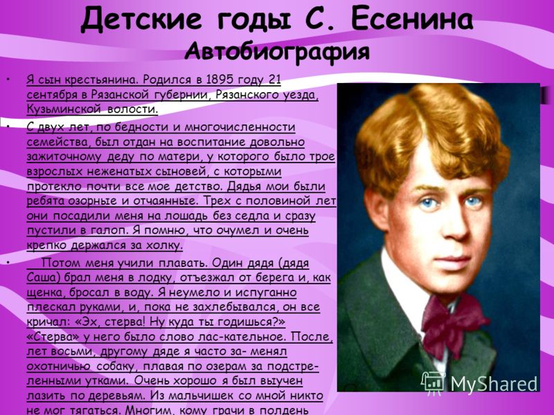 В сердце моря книга филбрик читать
