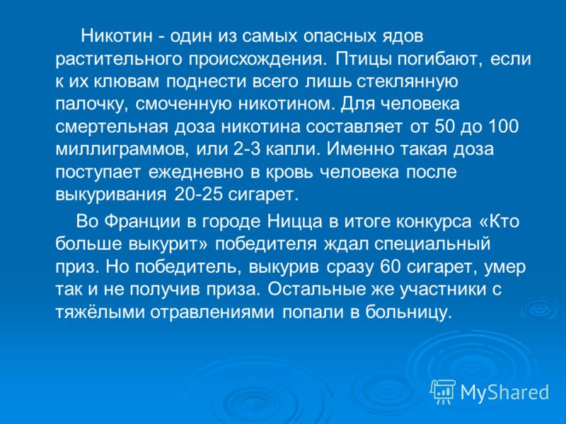 Детская лотерея на день рождения Виниры на зубы: фото до и после, цены, отзывы, виды