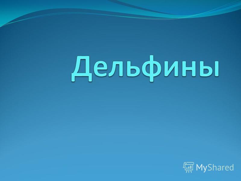 Дельфин с чем связан с Дельфин с чем связан с