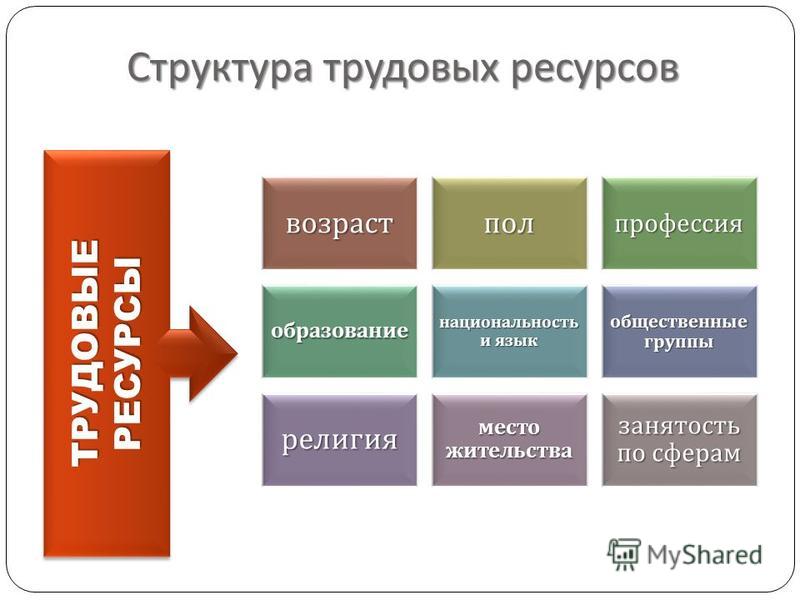 Курсовая работа по теме Решение проблем трудовых ресурсов Республики Казахстан