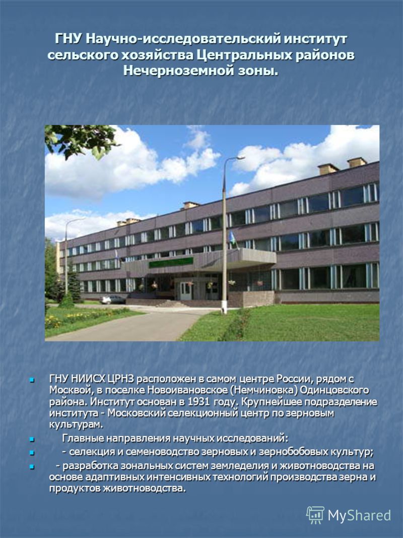 ячмень урожайность