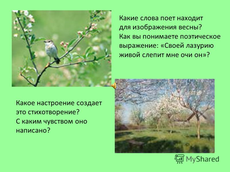 Программа занимательный русский язык 2 класс
