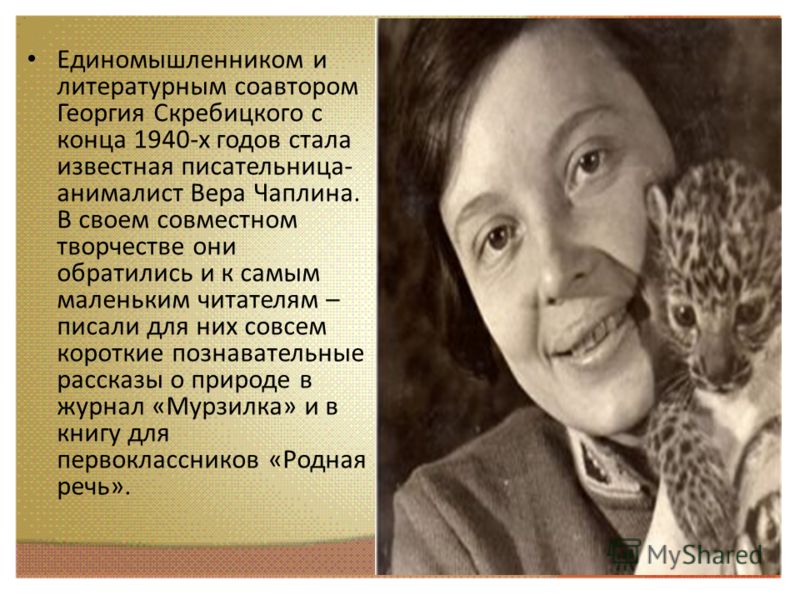 Джордан белфорт его книги читать онлайн
