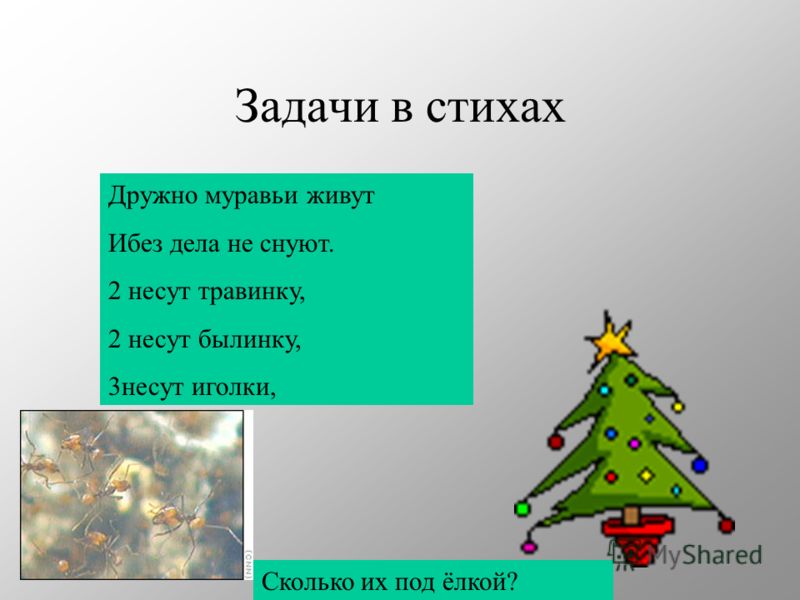 Программа по английскому языку 5 класс: Последние новинки фильмов, музыки, игр, софта Рабочая программа по истории для 10 класса