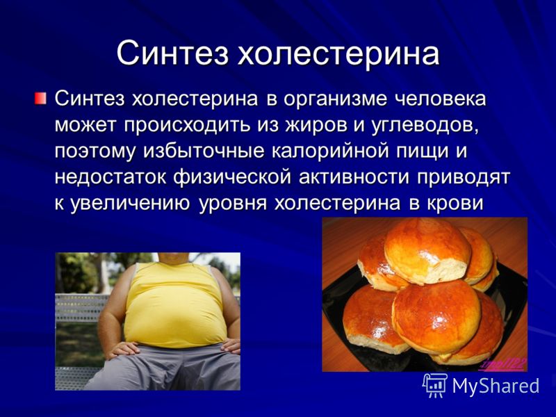 снизить общий холестерин в крови снизить общий холестерин в крови
