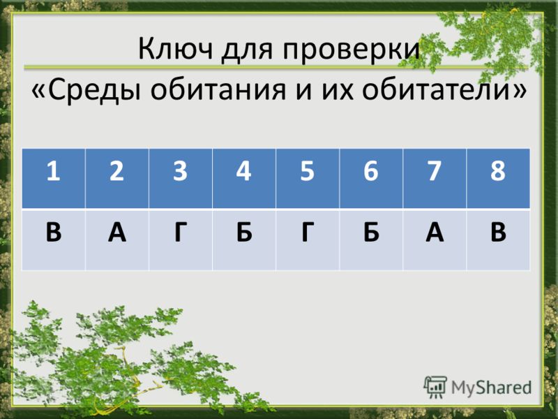Среды обитания и их рисунок Среды обитания и их рисунок