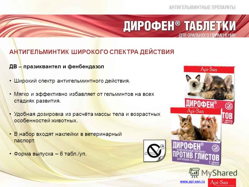 Какие анализы сдавать для обнаружения паразитов