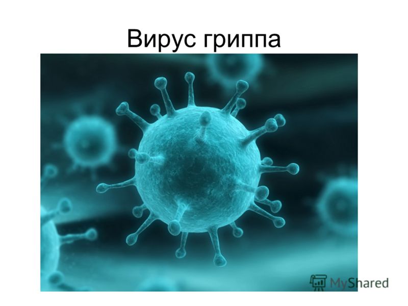 какие продукты надо исключить чтобы убрать живот какие продукты надо исключить чтобы убрать живот