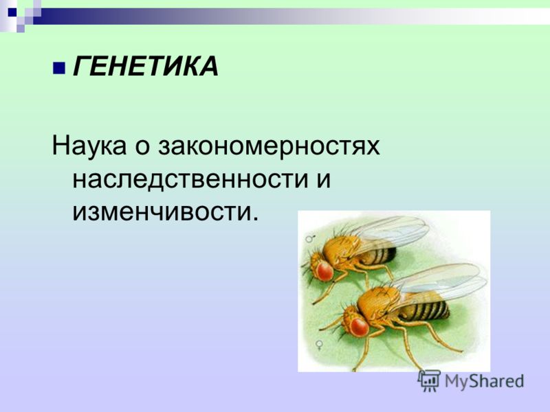 http://images.myshared.ru/394121/slide_2.jpg