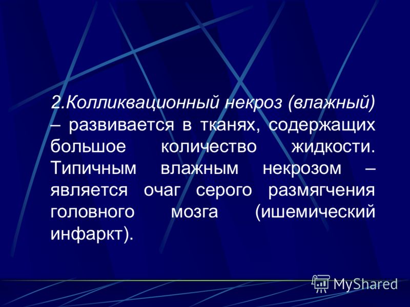 Кишечник и сухая кожа Кишечник и сухая кожа