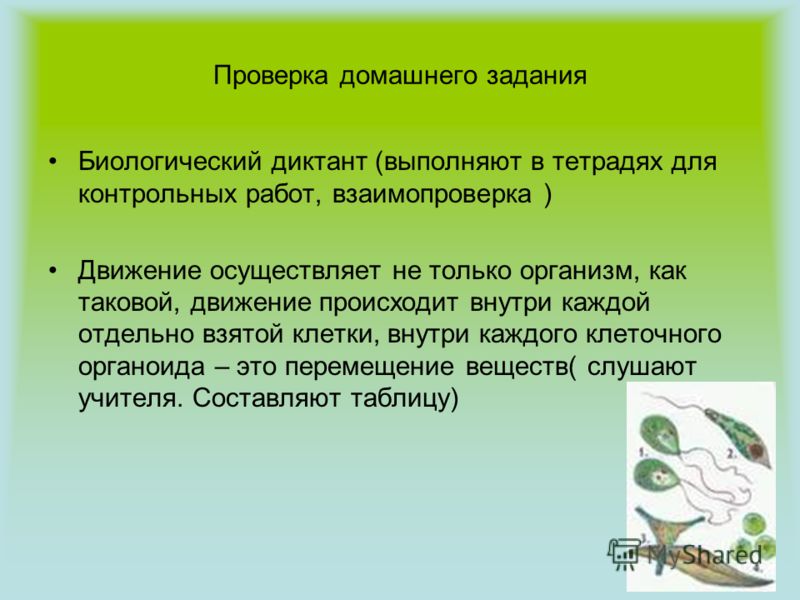 Литература 3 класс читать текст