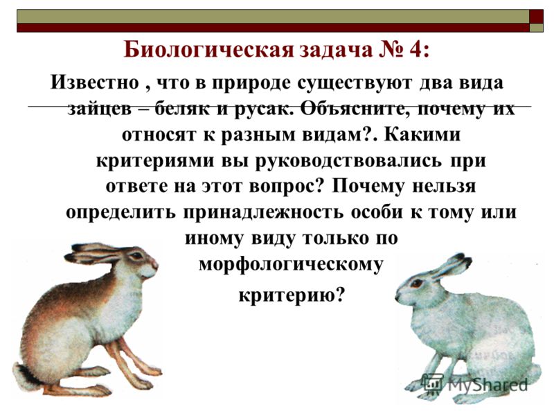 Как сделать часы своими руками мастер-класс (Фото) Как сделать умный пластилин своими руками в домашних условиях с видео