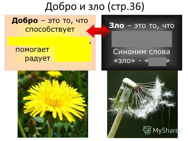 Как связаны души людей Как связаны души людей