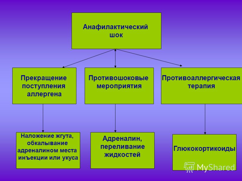 какие антибиотики от глистов какие антибиотики от глистов