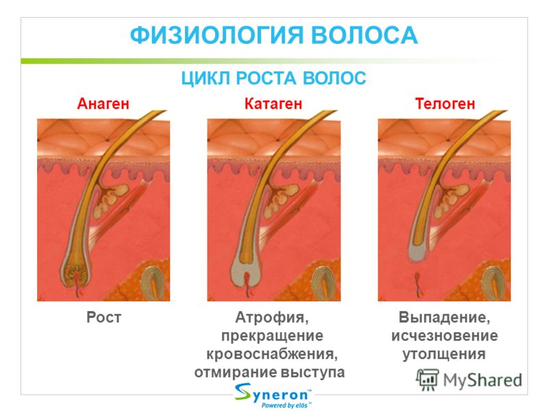 таблетки от роста волос на голове Таблетки от роста волос на голове спросят
