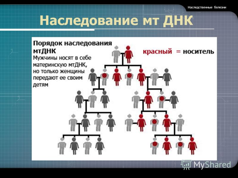 Мутации связанные с изменением количества хромосом Мутации связанные с изменением количества хромосом