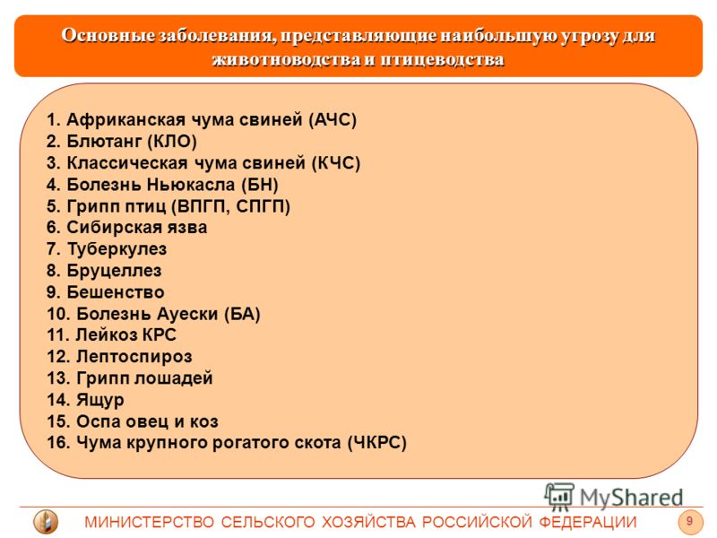Какие боли в низу живота при беременности