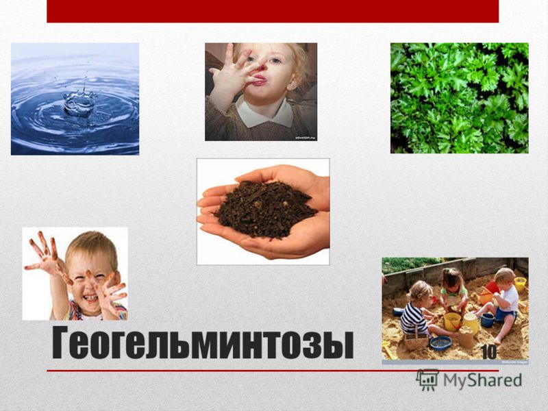 избавится от паразитов внутри избавится от паразитов внутри