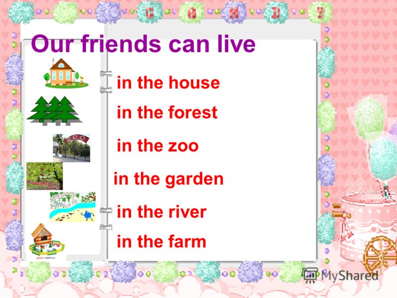 Our friends can live in the house in the forest in the zoo in the garden in the river in the farm