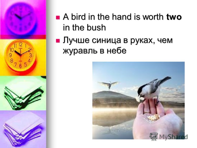 A bird in the hand is worth two in the bush A bird in the hand is worth two in the bush Лучше синица в руках, чем журавль в небе Лучше синица в руках, чем журавль в небе