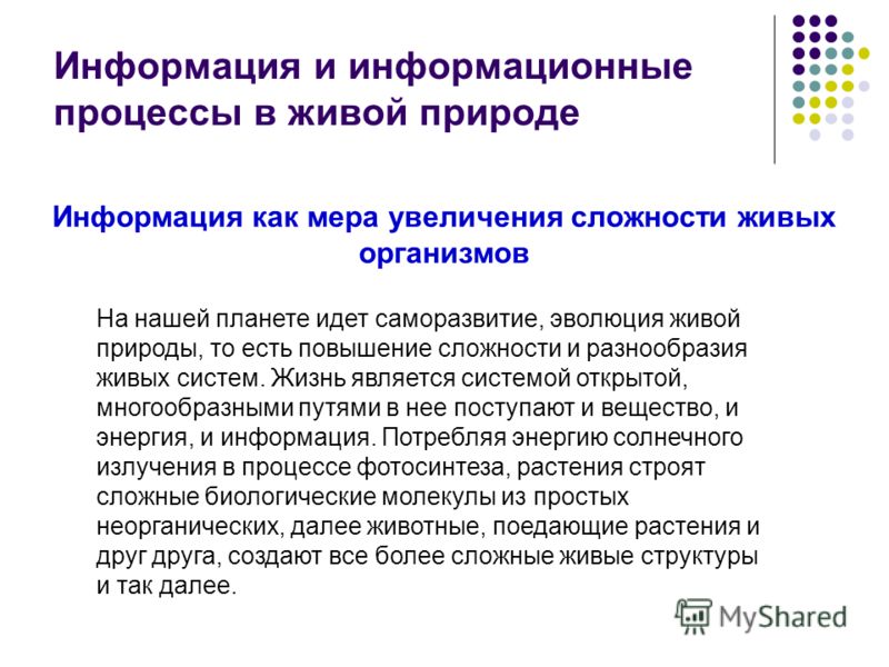 Картинки информация в живой природе Картинки информация в живой природе