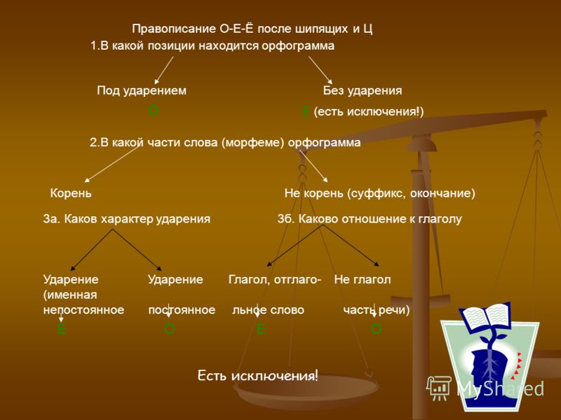 о-ё после шипящих схема