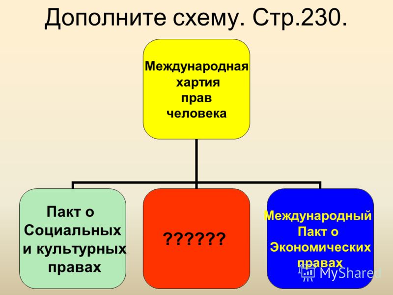 схема права человека