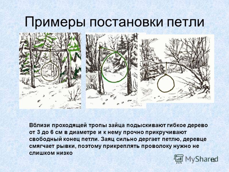 Петли на зайца как сделать петлю