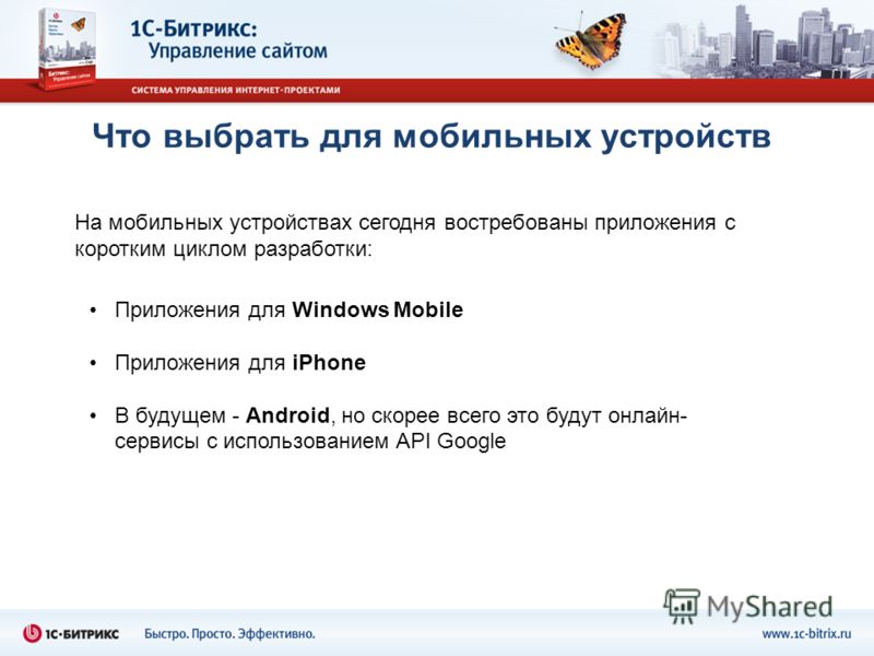 Что выбрать для мобильных устройств На мобильных устройствах сегодня востребованы приложения с коротким циклом разработки: Приложения для Windows Mobile Приложения для iPhone В будущем - Android, но скорее всего это будут онлайн- сервисы с использова