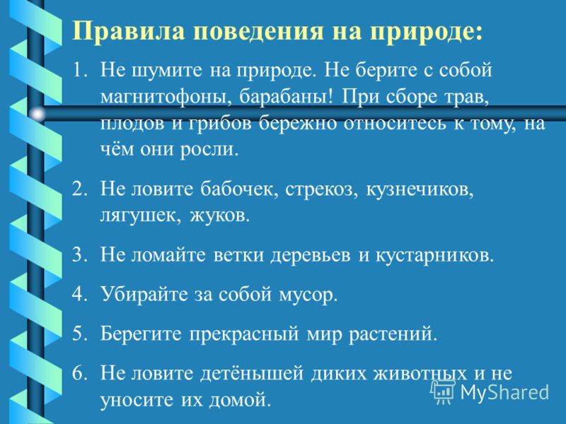 Правила поведения на природе: 1.Не шумите на природе. Не берите с собой магнитофоны, барабаны! При сборе трав, плодов и грибов бережно относитесь к тому, на чём они росли. 2.Не ловите бабочек, стрекоз, кузнечиков, лягушек, жуков. 3.Не ломайте ветки д