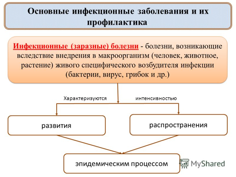 Реферат На Тему Профилактика Инфекций Реферат На Тему Профилактика Инфекций