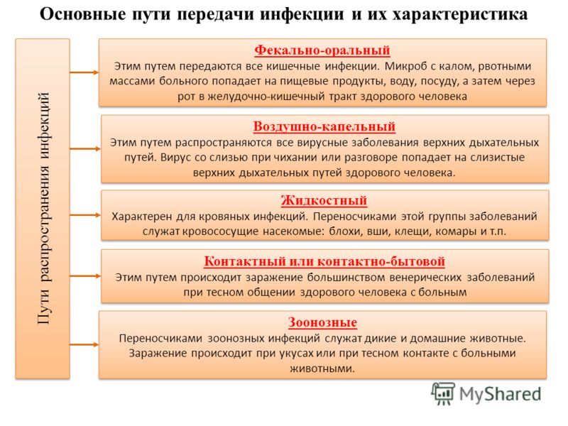 Реферат: Пищевые инфекции