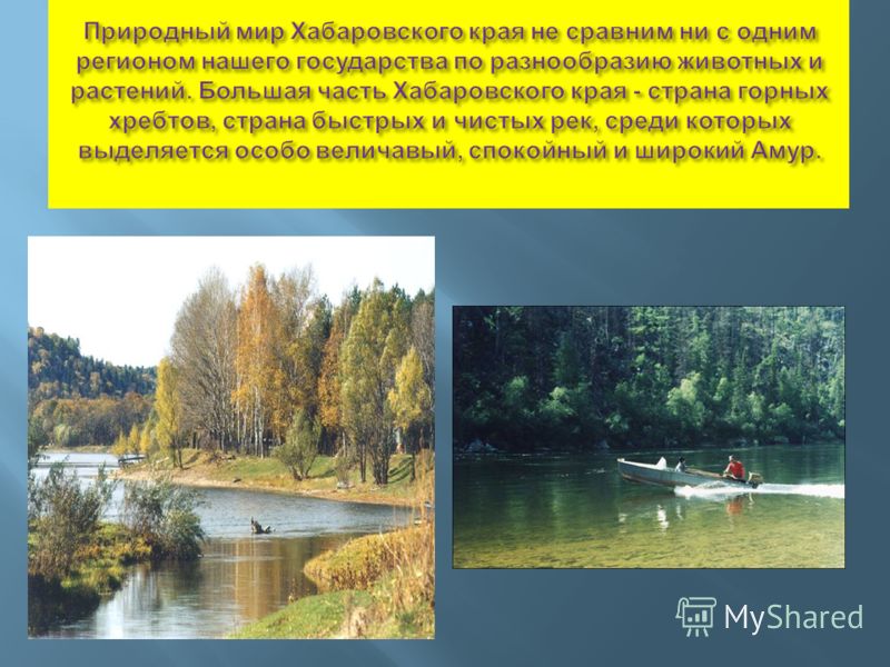 Картинки на тему как сберечь природу Картинки на тему как сберечь природу