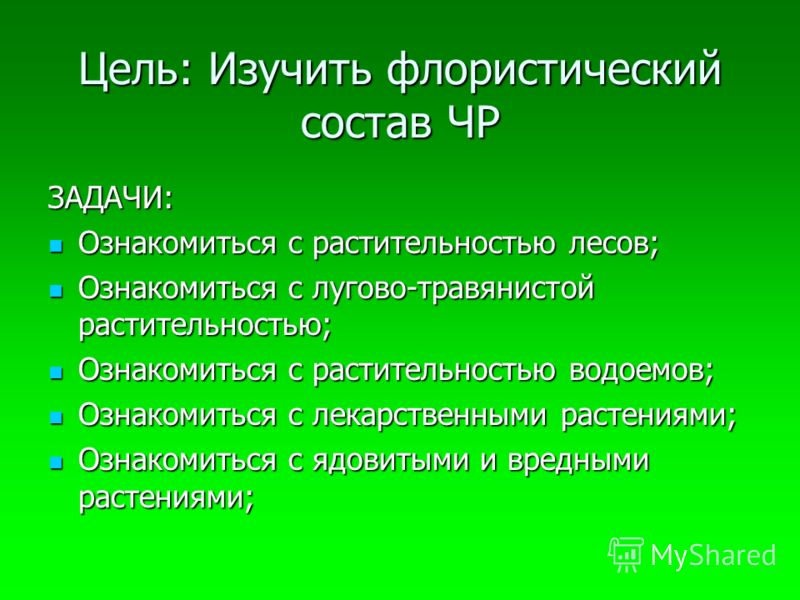Презентация на тему леса в чувашии