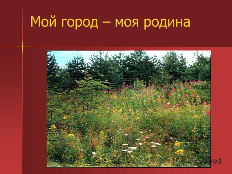 Реферат На Тему Малая Родина Реферат На Тему Малая Родина