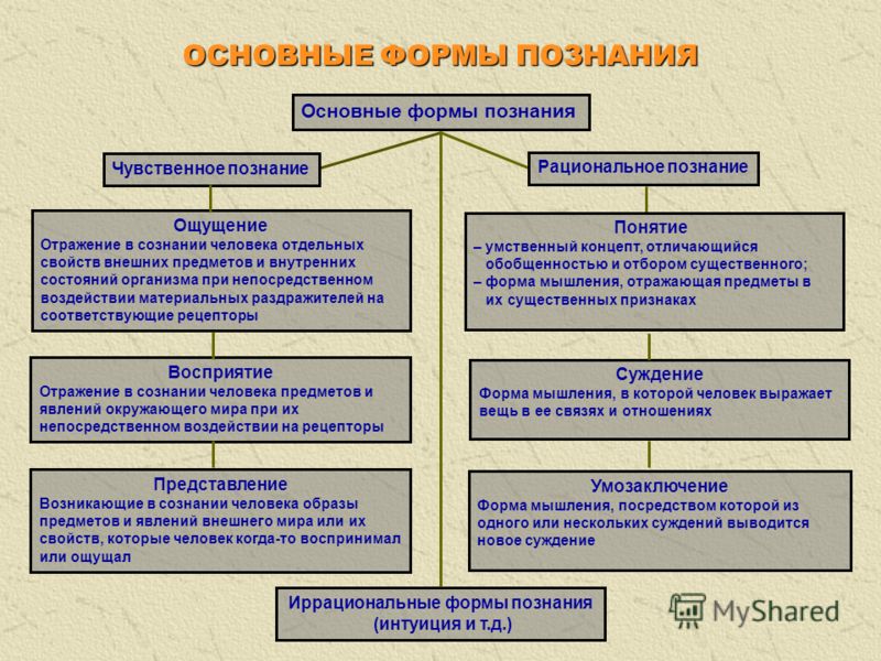 Реферат: Познание его возможности и границы