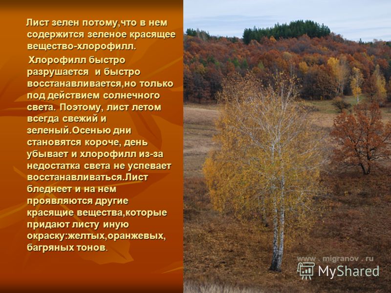 Не дописанный сценарий - Дом Солнца Мамочка! Вечная память тебе. Обсуждение на LiveInternet - Российский