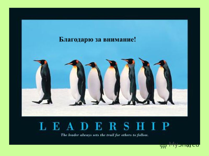 i am a leader because essay i am a leader because essay