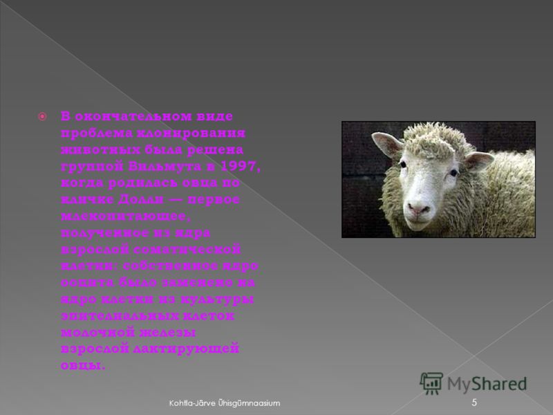 В окончательном виде проблема клонирования животных была решена группой Вильмута в 1997, когда родилась овца по кличке Долли первое млекопитающее, полученное из ядра взрослой соматической клетки: собственное ядро ооцита было заменено на ядро клетки и