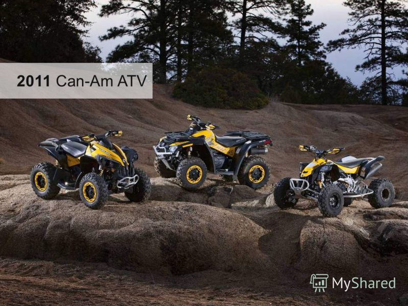 2011 Can-Am ATV