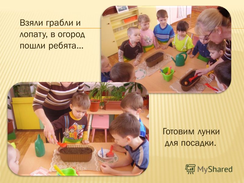 Картинки дети делают опыты в уголке природы Картинки дети делают опыты в уголке природы
