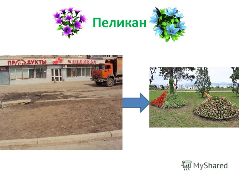 Планы ландшафтных дизайнов Планы ландшафтных дизайнов