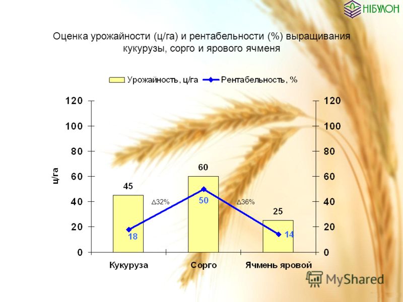 Оценка урожайности (ц/га) и рентабельности (%) выращивания кукурузы, сорго и ярового ячменя 32% 36%